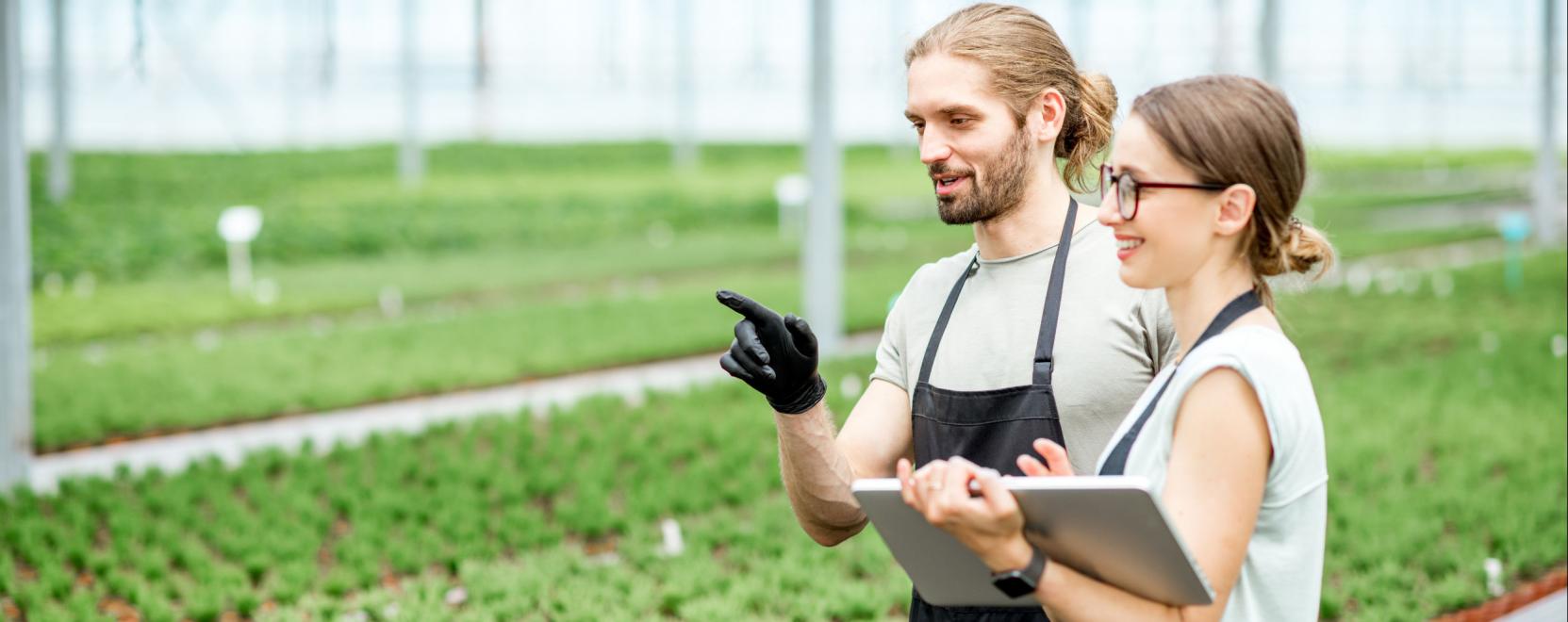 Megjelent a prec&iacute;zi&oacute;s fejleszt&eacute;seket t&aacute;mogat&oacute; p&aacute;ly&aacute;zat