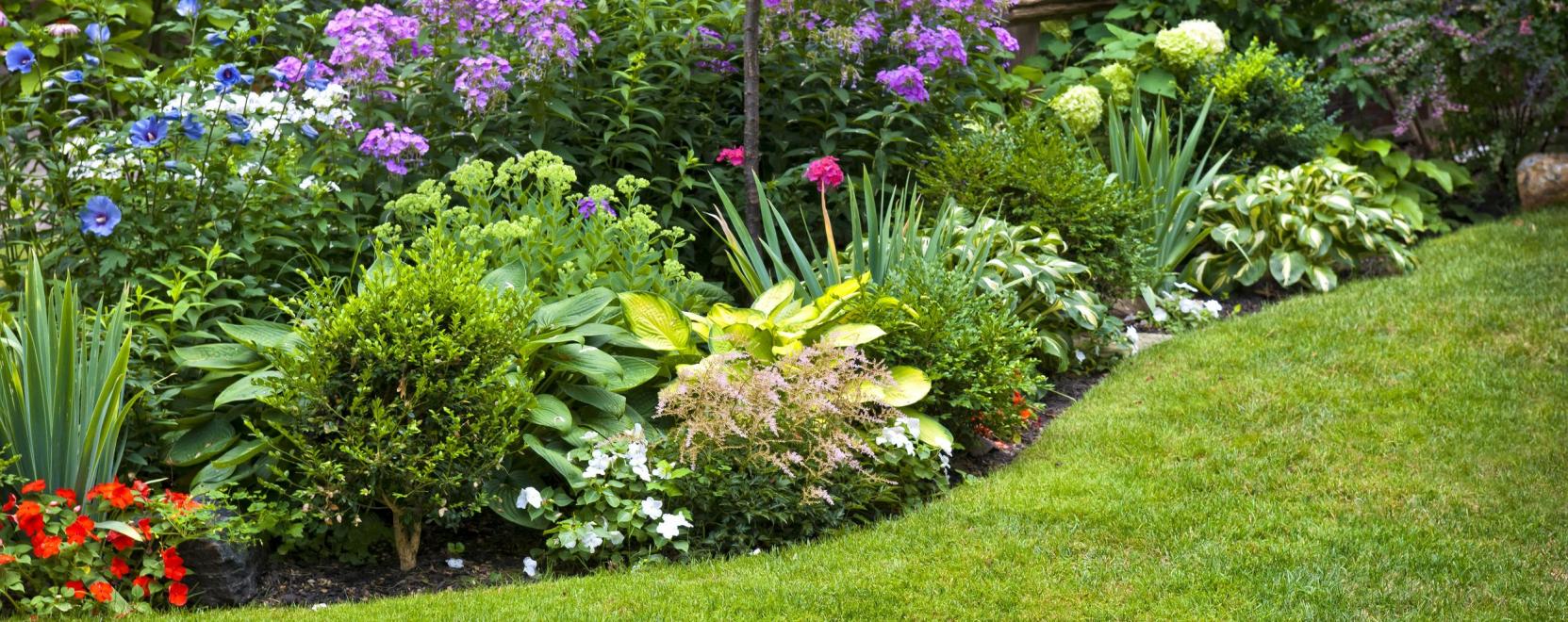 A robotok a kertet is megh&oacute;d&iacute;tj&aacute;k