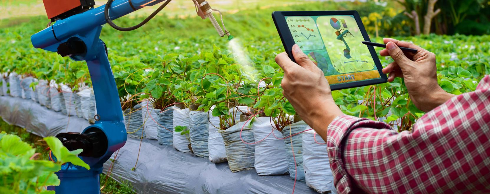 100 milli&aacute;rd forint a mezőgazdas&aacute;g digit&aacute;lis &aacute;t&aacute;ll&aacute;s&aacute;hoz