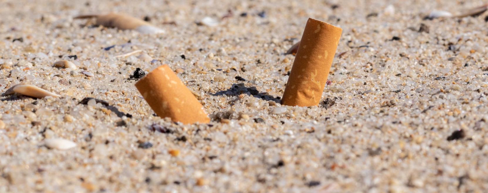 Ez a robot a cigicsikkektől szabad&iacute;tan&aacute; meg a strandokat