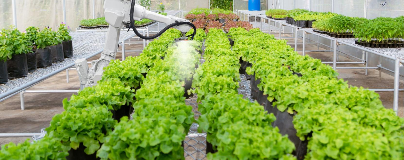 &Iacute;me, az elektromos gyomirt&aacute;s felsőfokon