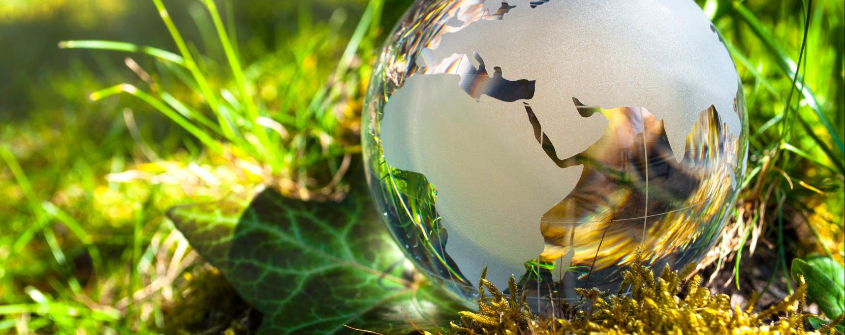 Kih&iacute;v&aacute;s indul! &Iacute;gy is cs&ouml;kkenthetj&uuml;k a t&uacute;lfogyaszt&aacute;st