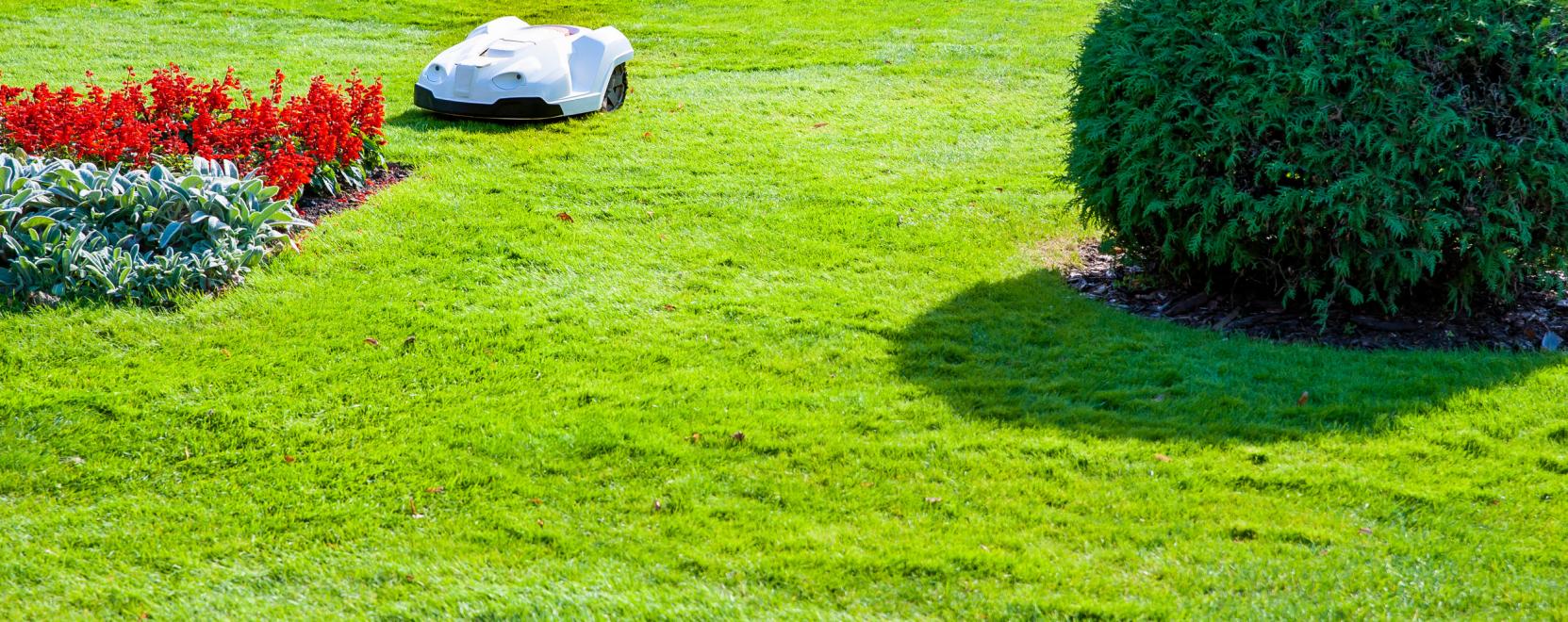 Nagyot kasz&aacute;l a Segway fűny&iacute;r&oacute; robotja