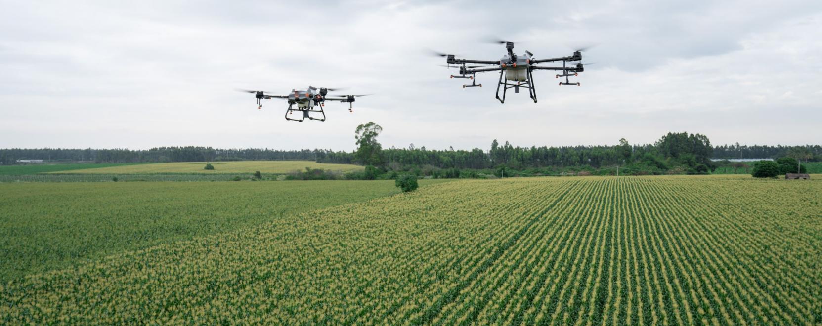 2025-re megsz&aacute;llj&aacute;k a mezőgazdas&aacute;got a dr&oacute;nok