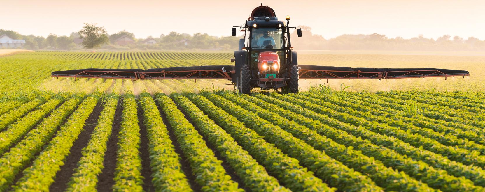 Prec&iacute;zi&oacute;s gazd&aacute;lkod&aacute;ssal a z&ouml;ldebb j&ouml;vő&eacute;rt