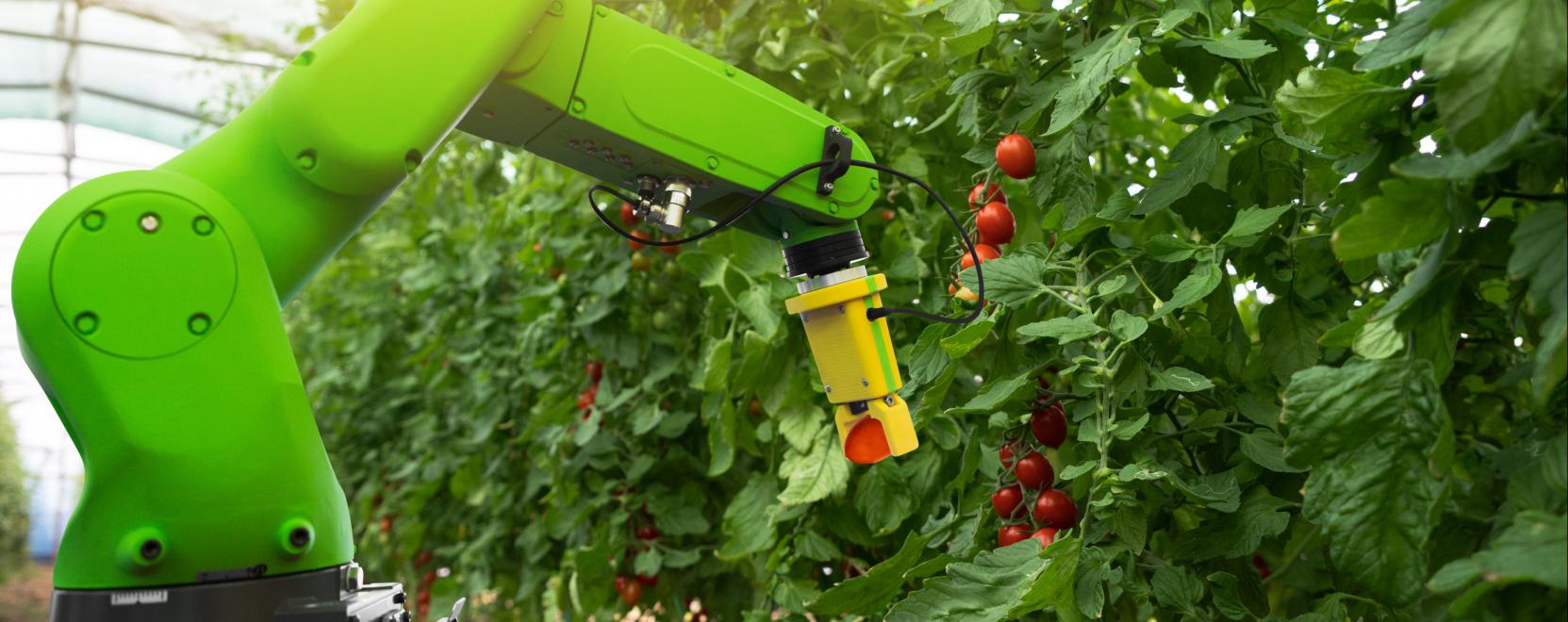 Robotkert&eacute;sz k&ouml;nny&iacute;theti meg az &uuml;vegh&aacute;zi munk&aacute;t