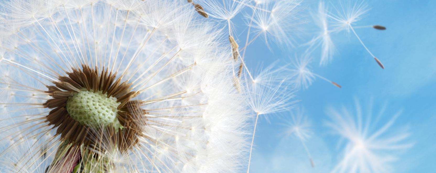 A dr&oacute;nok ut&aacute;n j&ouml;nnek a mikrorep&uuml;lők?