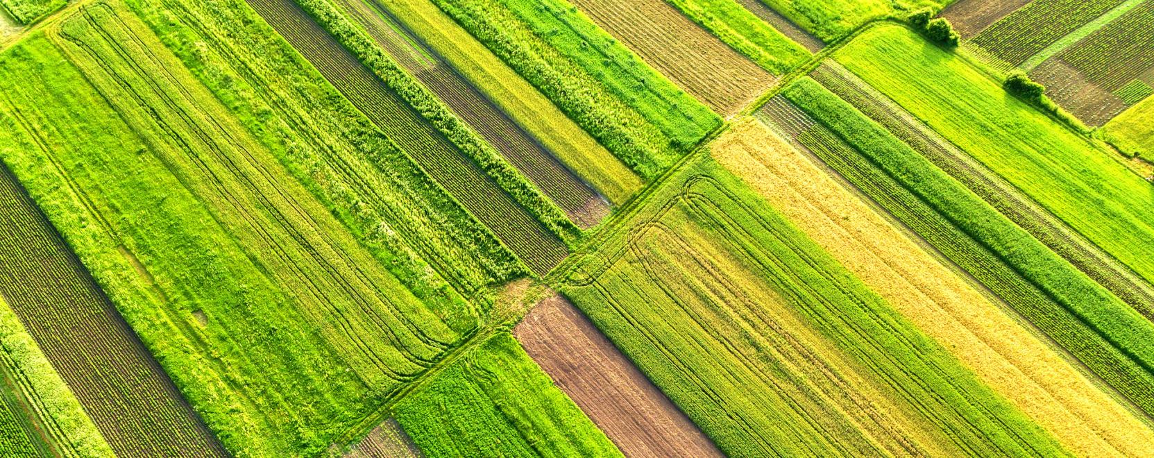 Prec&iacute;zi&oacute;s technol&oacute;gia: egyre t&ouml;bb projekt indul be