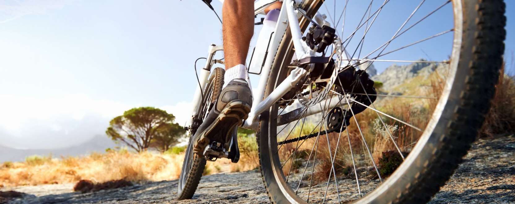 &Eacute;leteket menthet a bring&aacute;s LED-kab&aacute;t