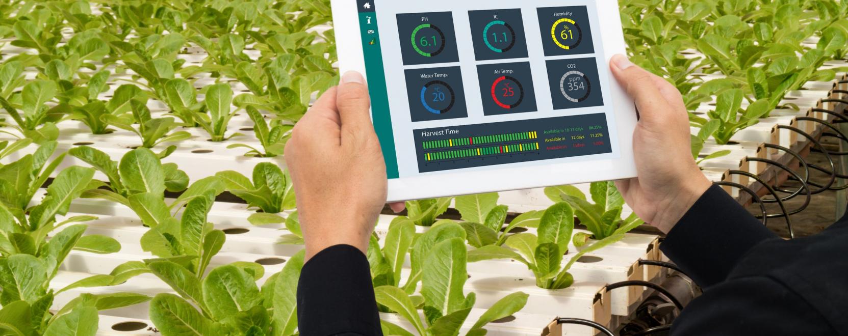 Beruh&aacute;z&aacute;si program indult az agr&aacute;rium versenyk&eacute;pess&eacute;g&eacute;&eacute;rt