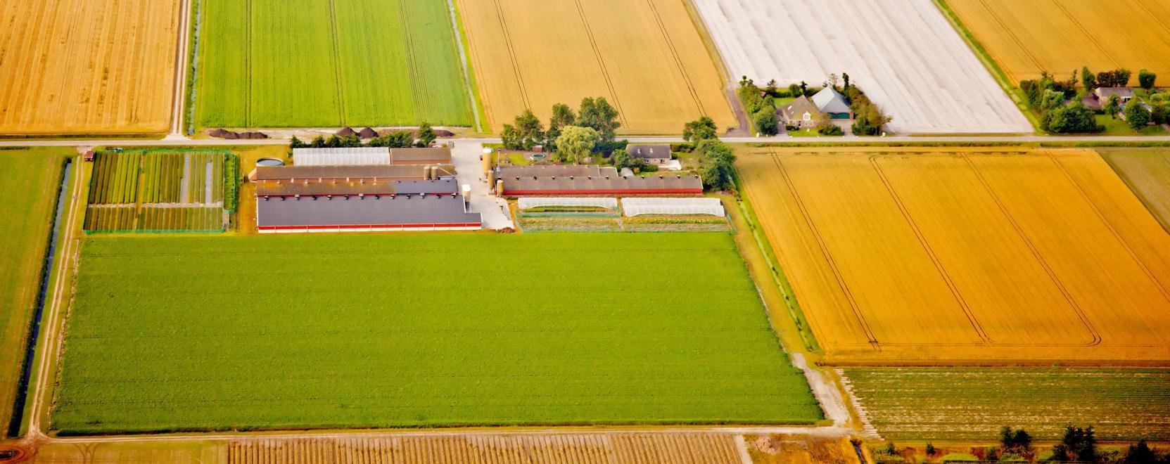 Kiberkert&eacute;szet &eacute;s űradatok: hazai innov&aacute;ci&oacute;k az agr&aacute;riumban