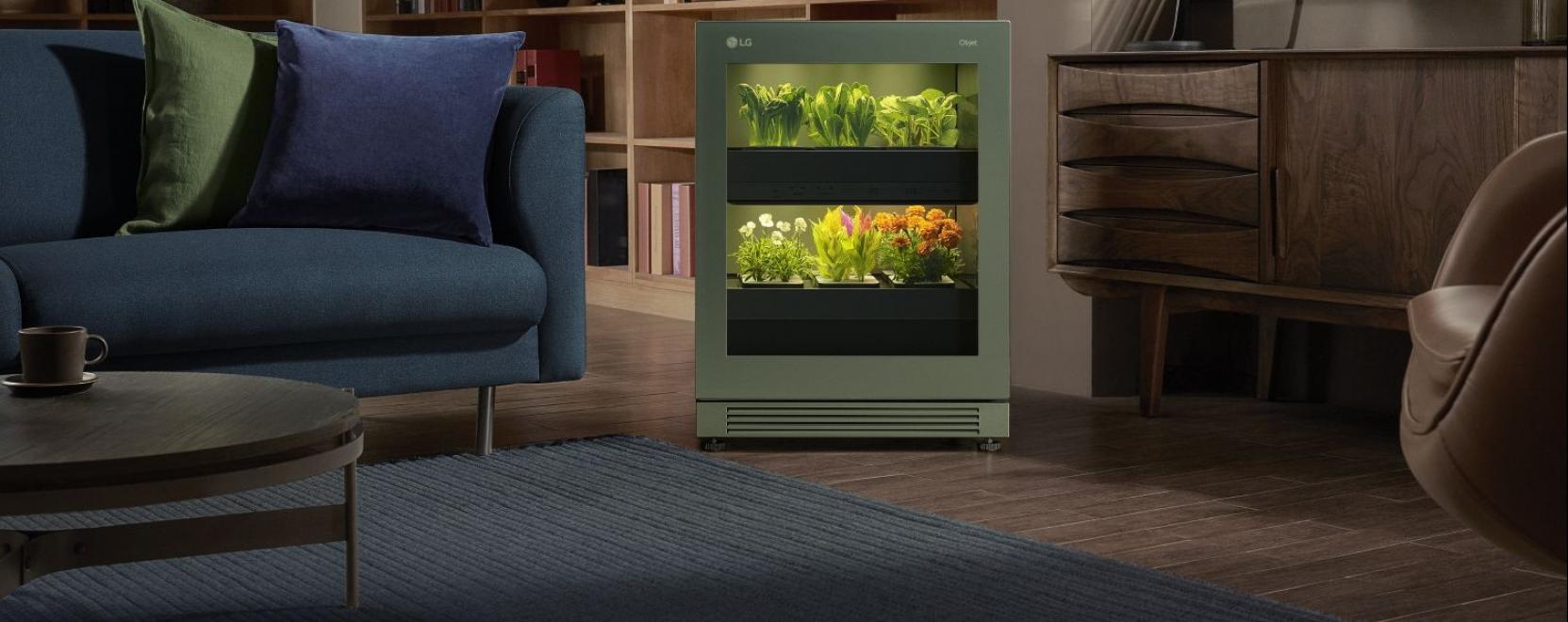 Okoskert: &iacute;me, az automatiz&aacute;lt n&ouml;v&eacute;nytermeszt&eacute;s a nappaliban