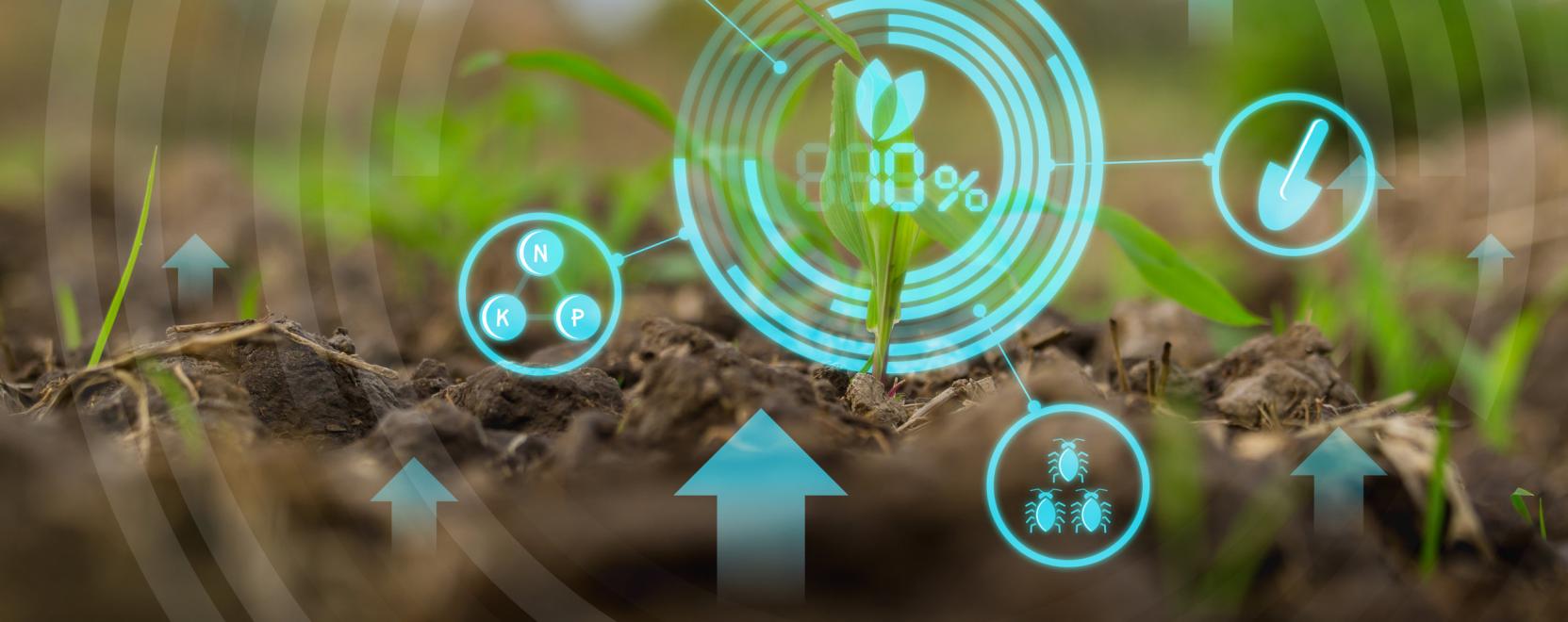 Technol&oacute;gi&aacute;ban &eacute;s adatban gazdag ipar&aacute;gg&aacute; v&aacute;lhat az agr&aacute;rium