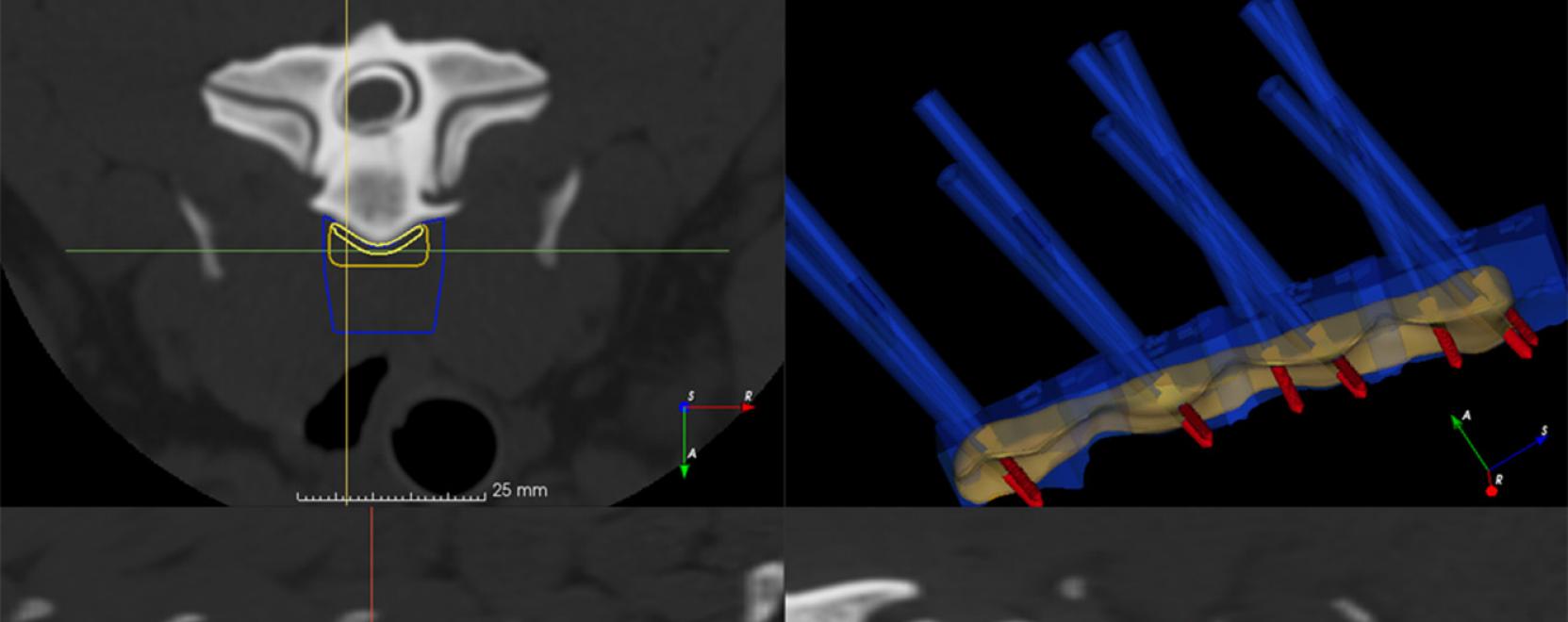 Digit&aacute;lis tervez&eacute;s &eacute;s 3D nyomtat&aacute;s az &aacute;llatgy&oacute;gy&aacute;szatban