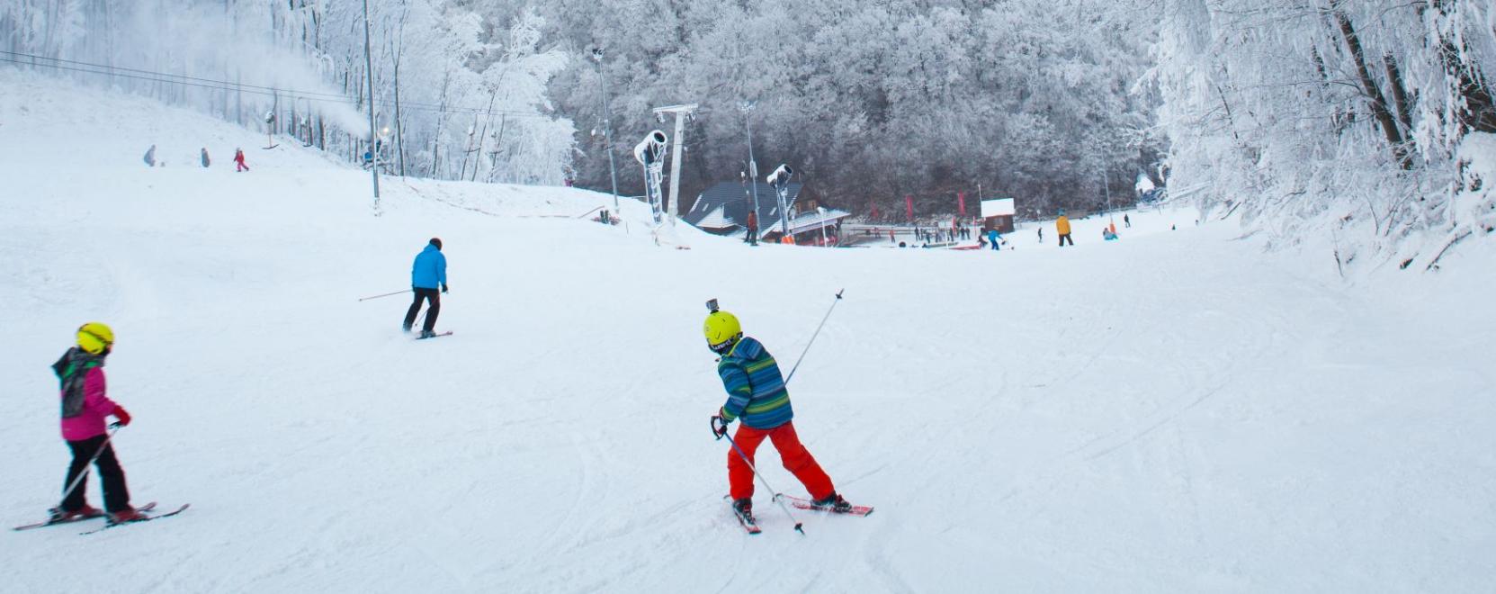 Digitaliz&aacute;ci&oacute;s szintl&eacute;p&eacute;sek az epl&eacute;nyi s&iacute;p&aacute;ly&aacute;n