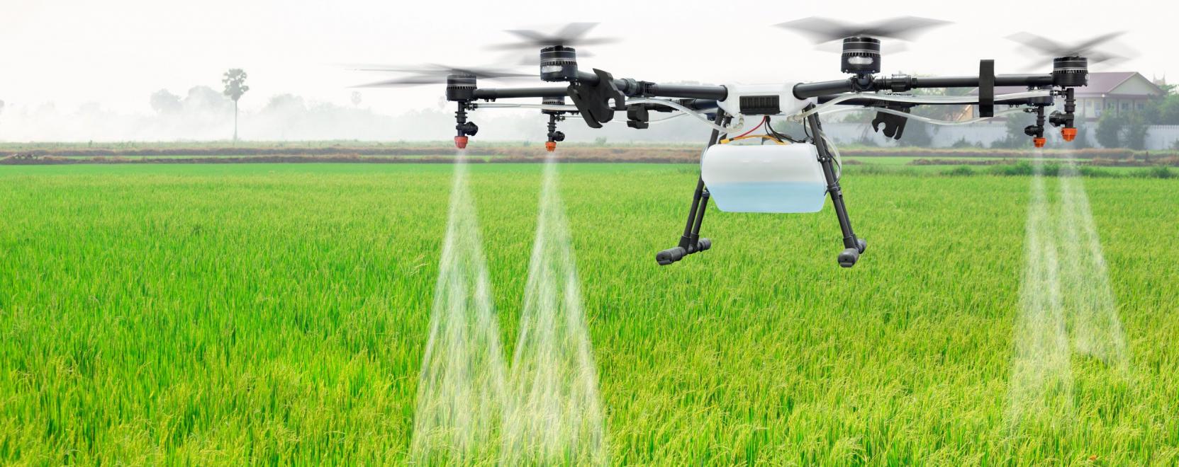 Komoly akad&aacute;ly g&ouml;rd&uuml;lt el a dr&oacute;nos permetez&eacute;s elől