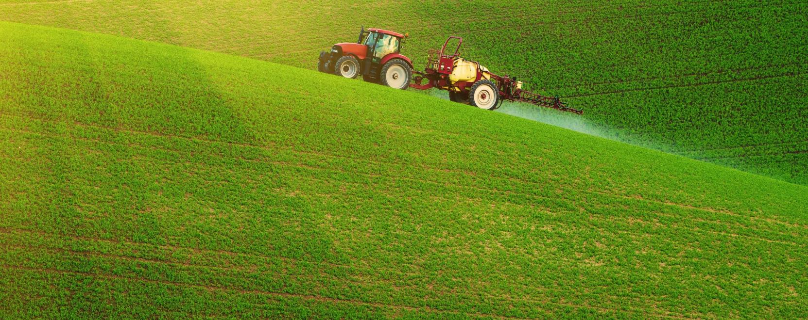 Fontos l&eacute;p&eacute;s a hat&eacute;konyabb n&ouml;v&eacute;nyv&eacute;delem fel&eacute;