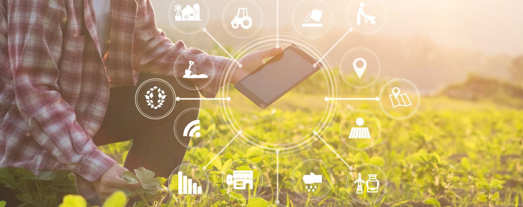Adateső a f&ouml;ldeken: a versenyelőny m&uacute;lhat a digitaliz&aacute;ci&oacute;n