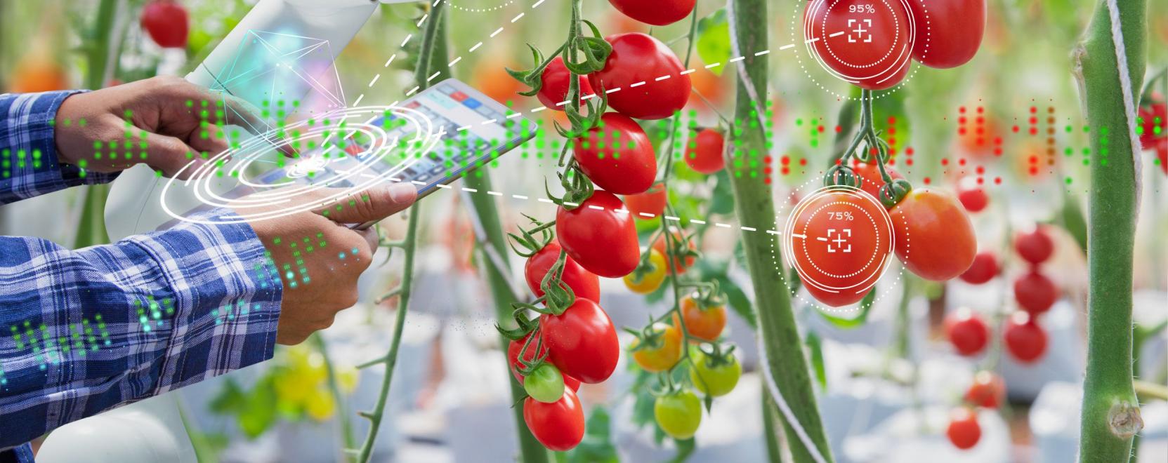 Agr&aacute;rstrat&eacute;gia: a digitaliz&aacute;ci&oacute; a versenyk&eacute;pess&eacute;g z&aacute;loga