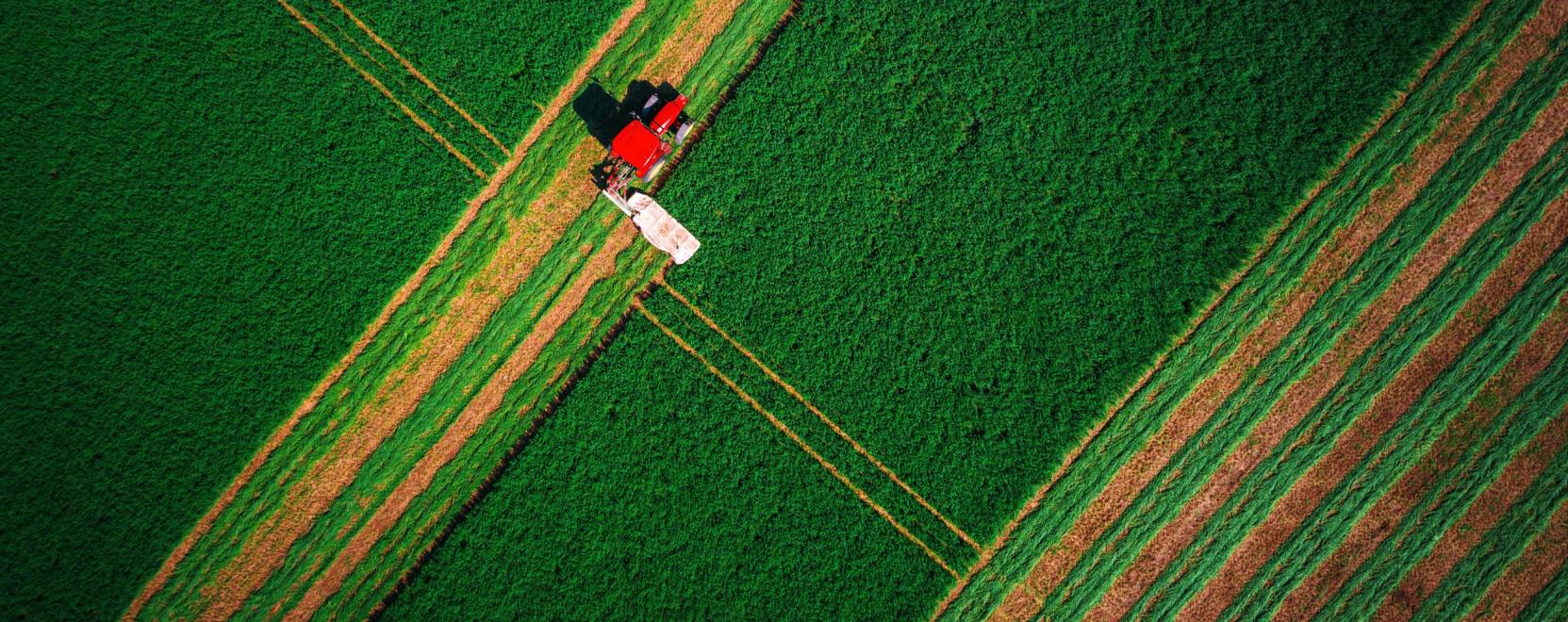 G&eacute;pes&iacute;t&eacute;s lehet a megold&aacute;s az &eacute;lelmiszer-dr&aacute;gul&aacute;s ellen