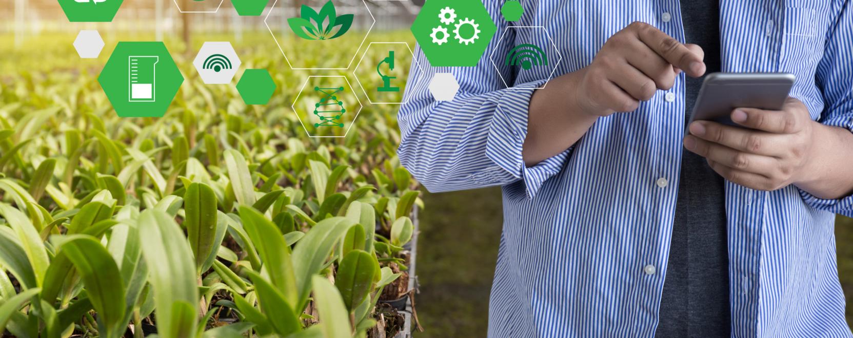 Az agr&aacute;rium legfontosabb kih&iacute;v&aacute;saira keresik a megold&aacute;st