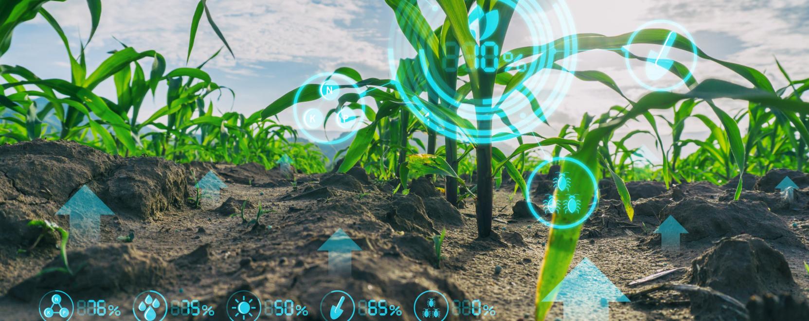 Az adatalap&uacute; gazd&aacute;lkod&aacute;s ma m&aacute;r alapk&ouml;vetelm&eacute;ny