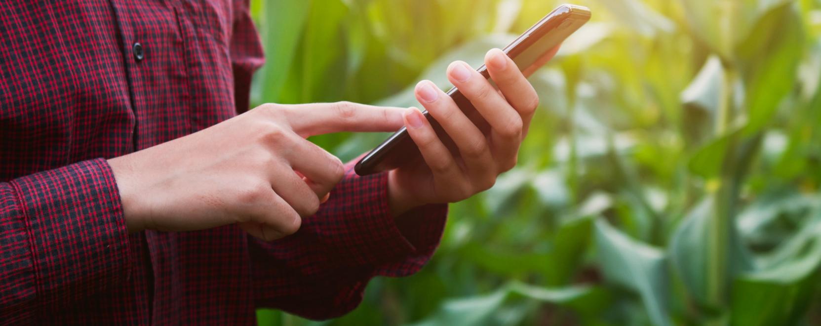 Digit&aacute;lis csapdah&aacute;l&oacute;zatok a fenntarthat&oacute;bb mezőgazdas&aacute;g&eacute;rt