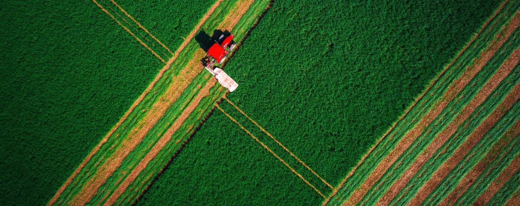Eg&eacute;sz Kaliforni&aacute;t beh&aacute;l&oacute;zn&aacute;k az &ouml;nvezető traktorok