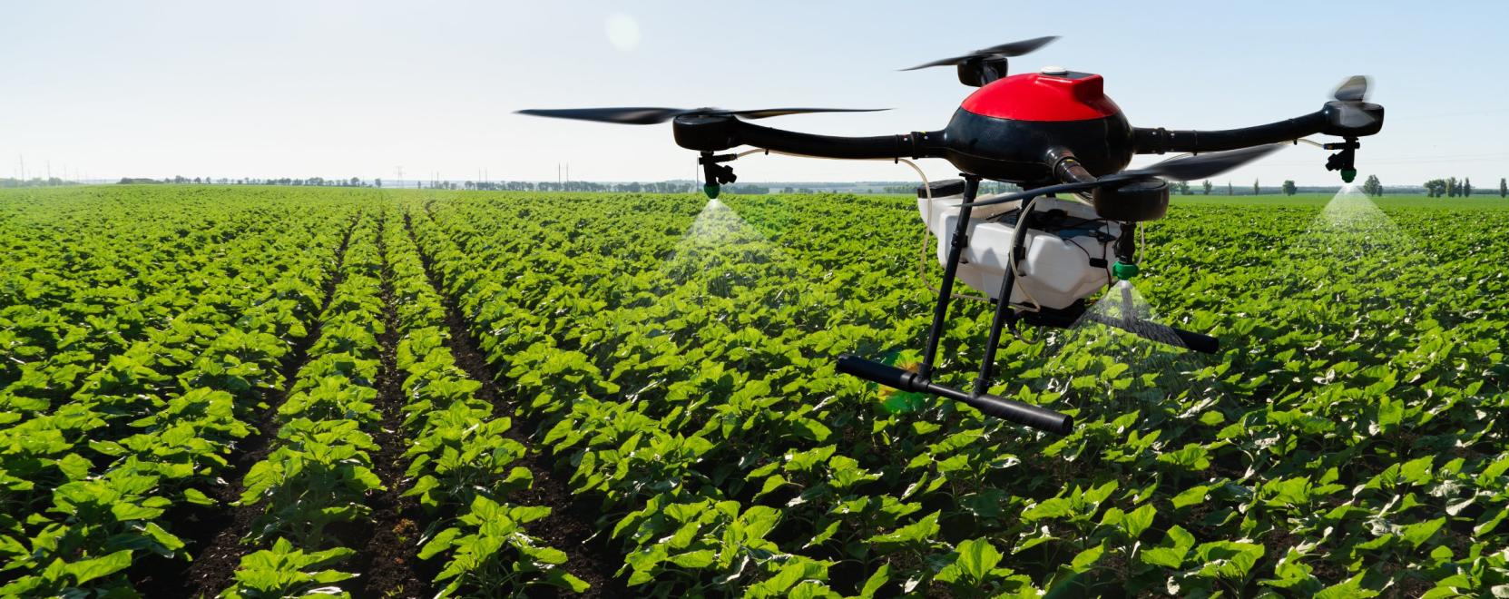 R&aacute;rep&uuml;lne a nemzetk&ouml;zi high-tech dr&oacute;ngy&aacute;rt&aacute;sra a magyar c&eacute;g