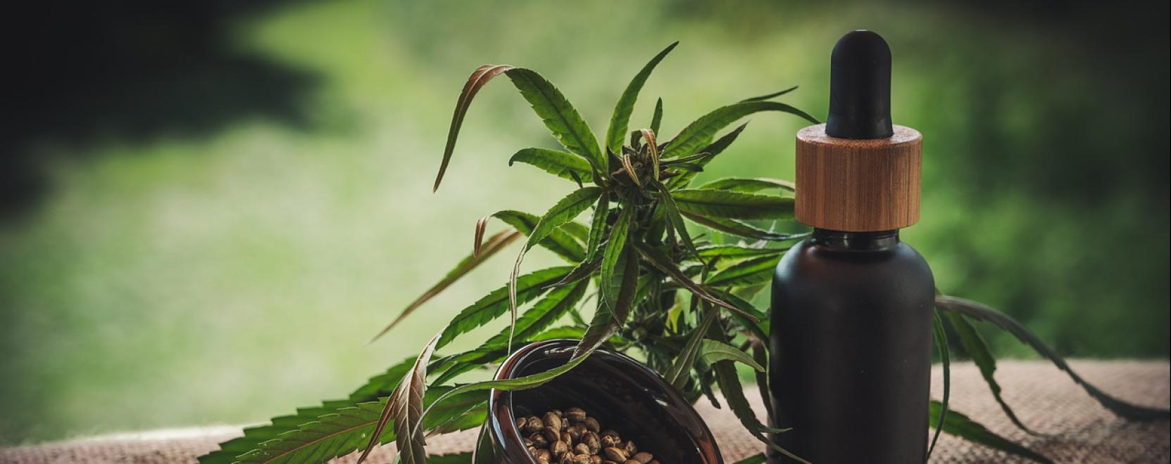 Te tudod, hogy k&eacute;sz&uuml;l a CBD olaj?