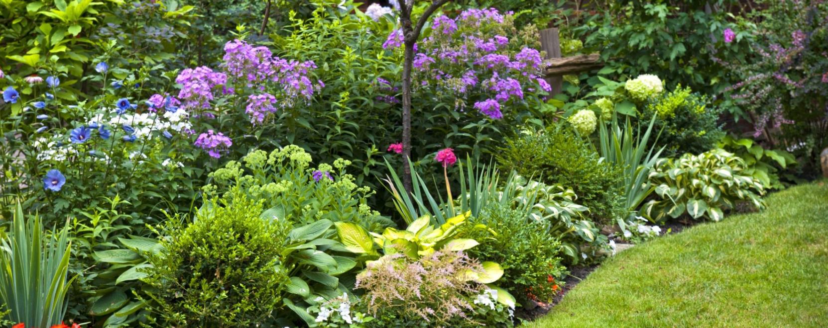 &Iacute;gy is v&eacute;dhetj&uuml;k a n&ouml;v&eacute;nyeinket a kertben