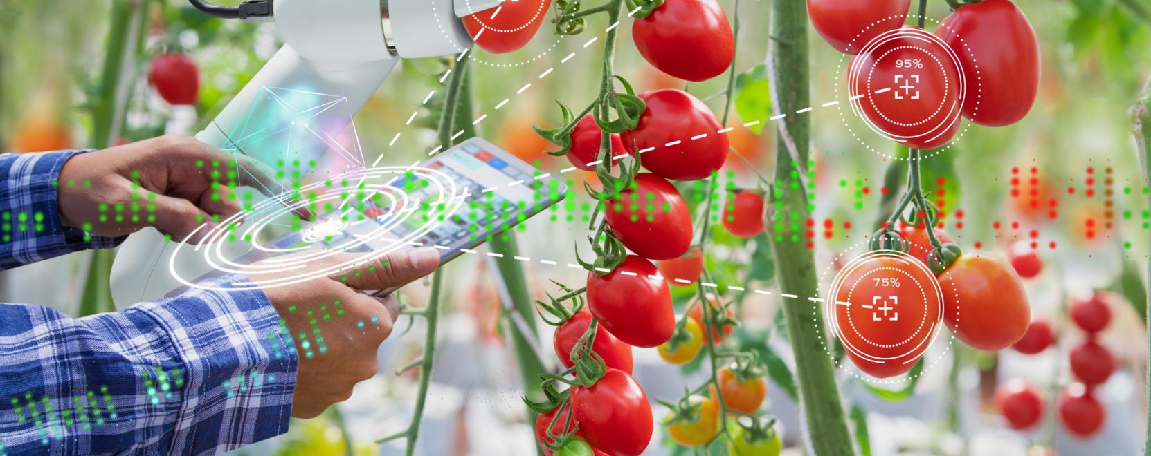 A mezőgazdas&aacute;g term&eacute;keny t&aacute;ptalaja lesz az MI-nek