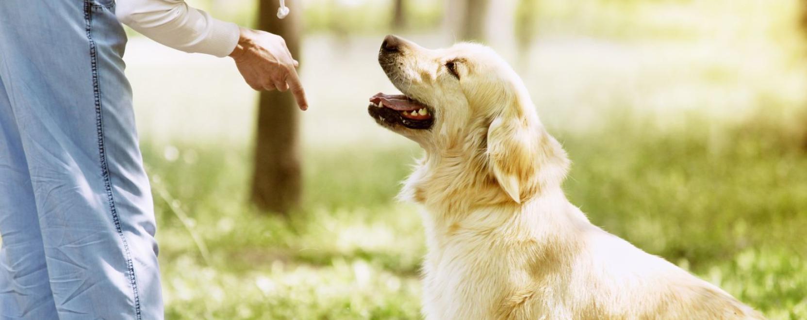 3 tipp, ami seg&iacute;thet a kuty&aacute;soknak az &ouml;r&ouml;k probl&eacute;m&aacute;ban