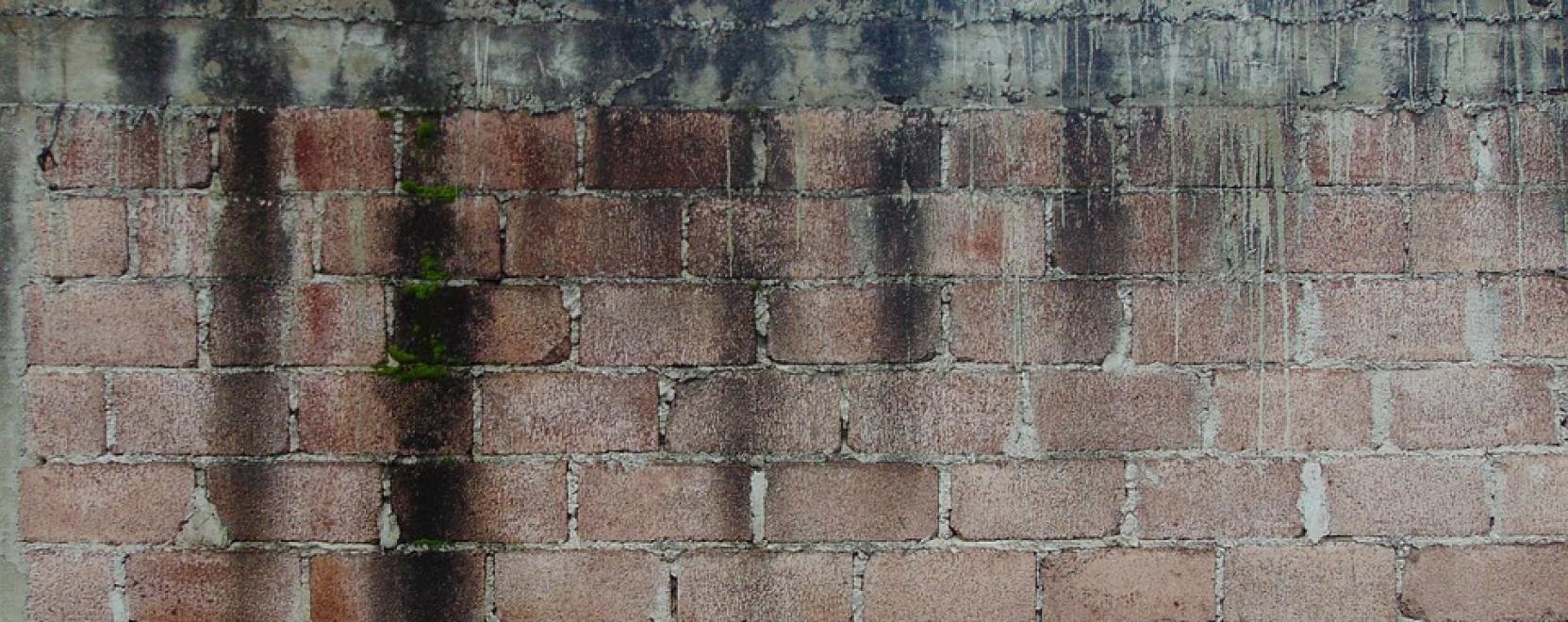 Az &eacute;p&uuml;letnedvess&eacute;g vesz&eacute;lyei