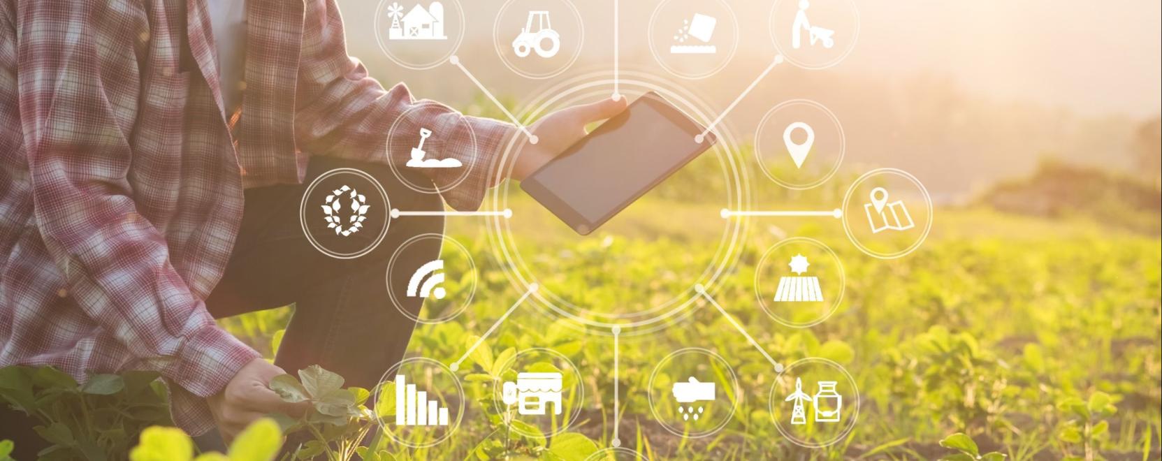 Smart Farm: ilyen lesz a j&ouml;vő digit&aacute;lis mintagazdas&aacute;ga