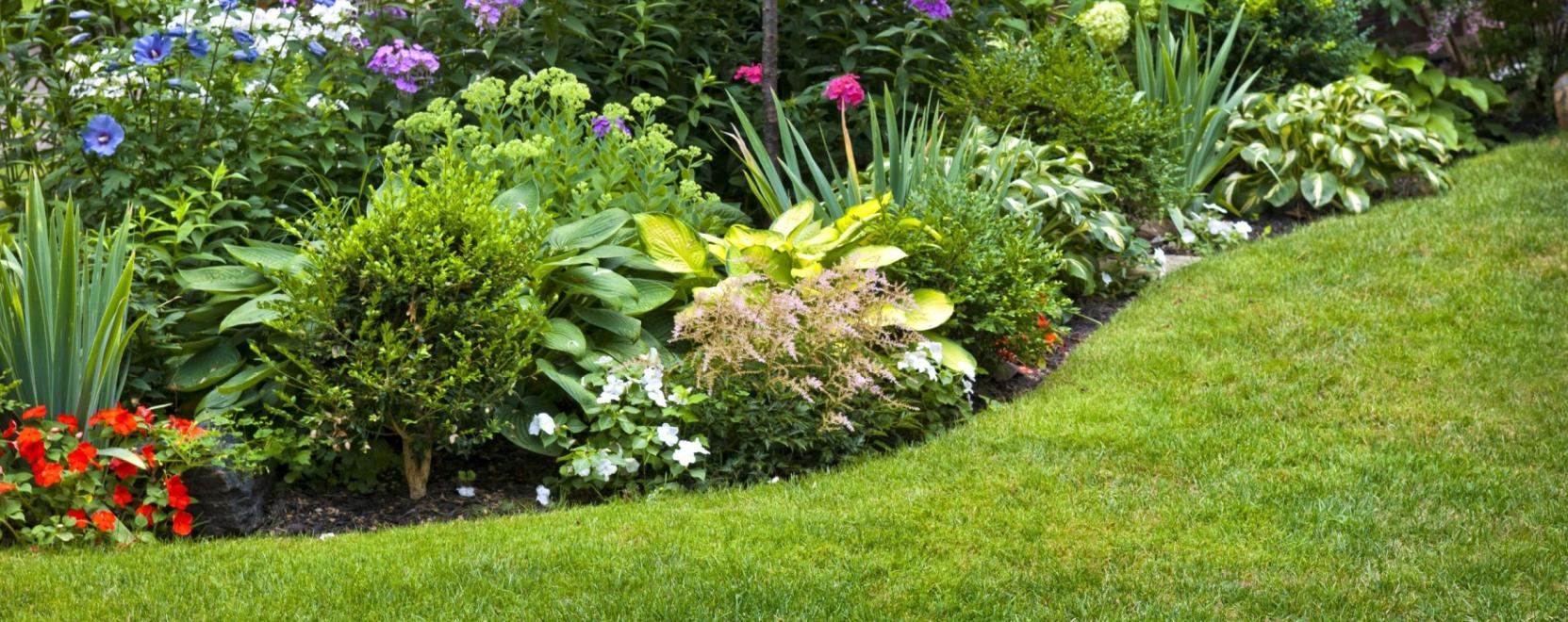 Has&iacute;tanak a kertekben a robotfűny&iacute;r&oacute;k