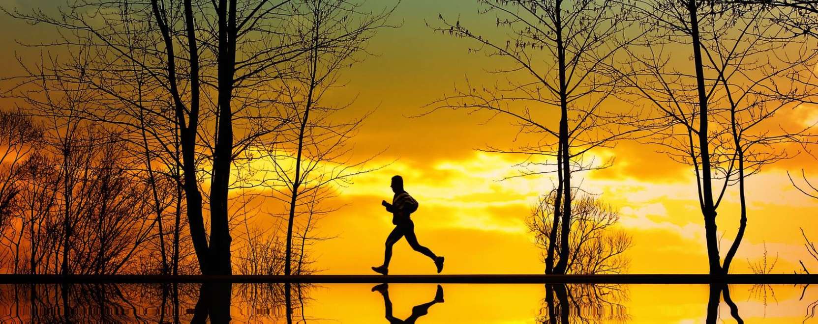 Egyre t&ouml;bbet tudnak az intelligens kark&ouml;tők