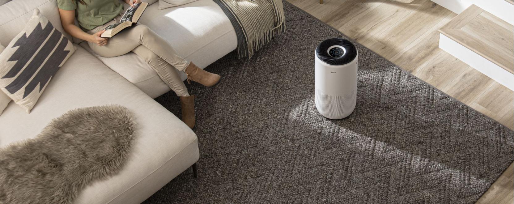 P&aacute;r&aacute;s&iacute;t&oacute;k &eacute;s l&eacute;gtiszt&iacute;t&oacute;k: a lak&aacute;s levegőj&eacute;nek karbantart&oacute;i