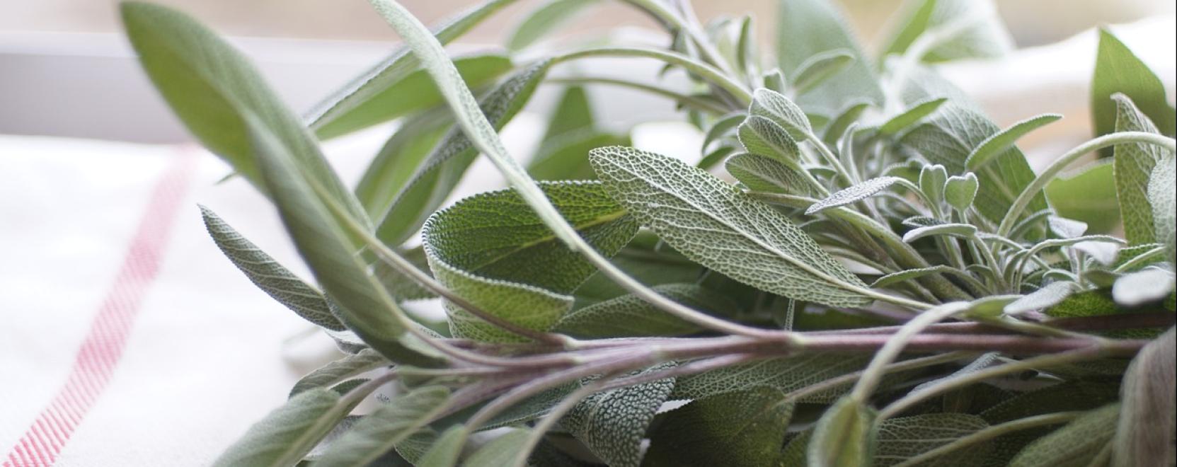 Elmaradhatatlan fűszern&ouml;v&eacute;nyek a kert&uuml;nkbe