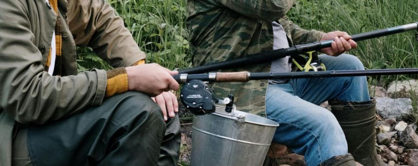 A feederez&eacute;s m&oacute;dszertana &eacute;s fejlőd&eacute;se