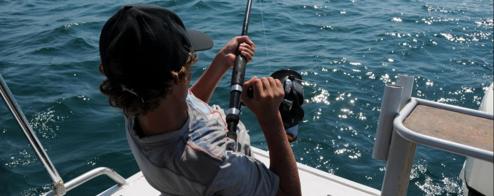 Egy megb&iacute;zhat&oacute; feeder ors&oacute; beszerz&eacute;se