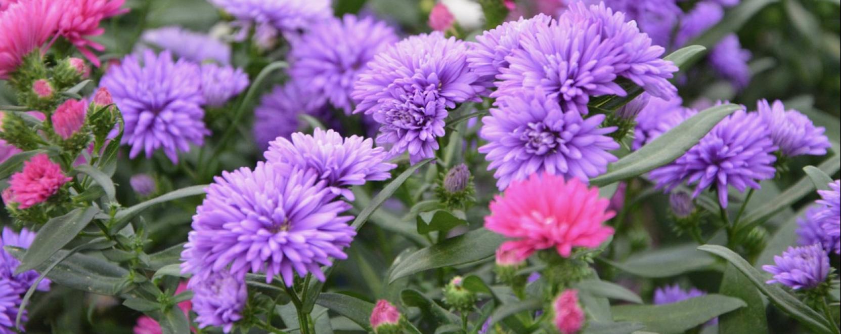 Mire van sz&uuml;ks&eacute;g a t&ouml;k&eacute;letes &aacute;gy&aacute;sszeg&eacute;lyhez?