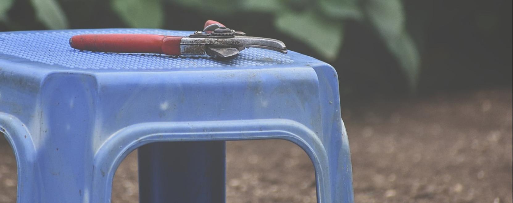 A kert&eacute;szked&eacute;s &eacute;s a konyha műv&eacute;szete