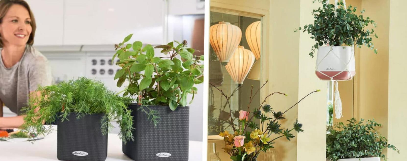 A szoban&ouml;v&eacute;nyek az otthon szerves r&eacute;szei lehetnek