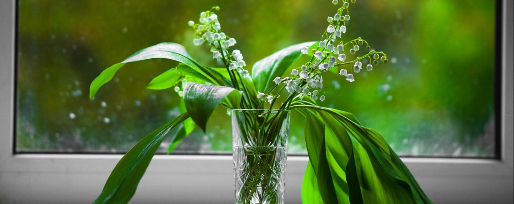 Ny&iacute;l&aacute;sz&aacute;r&oacute;k, amelyek otthon&aacute;hoz igazodnak