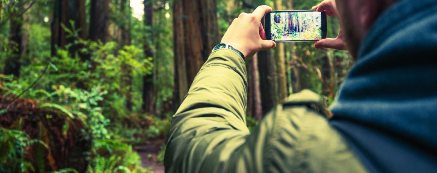 Bet&ouml;rnek a dr&oacute;nok &eacute;s a robotok az erdőkbe
