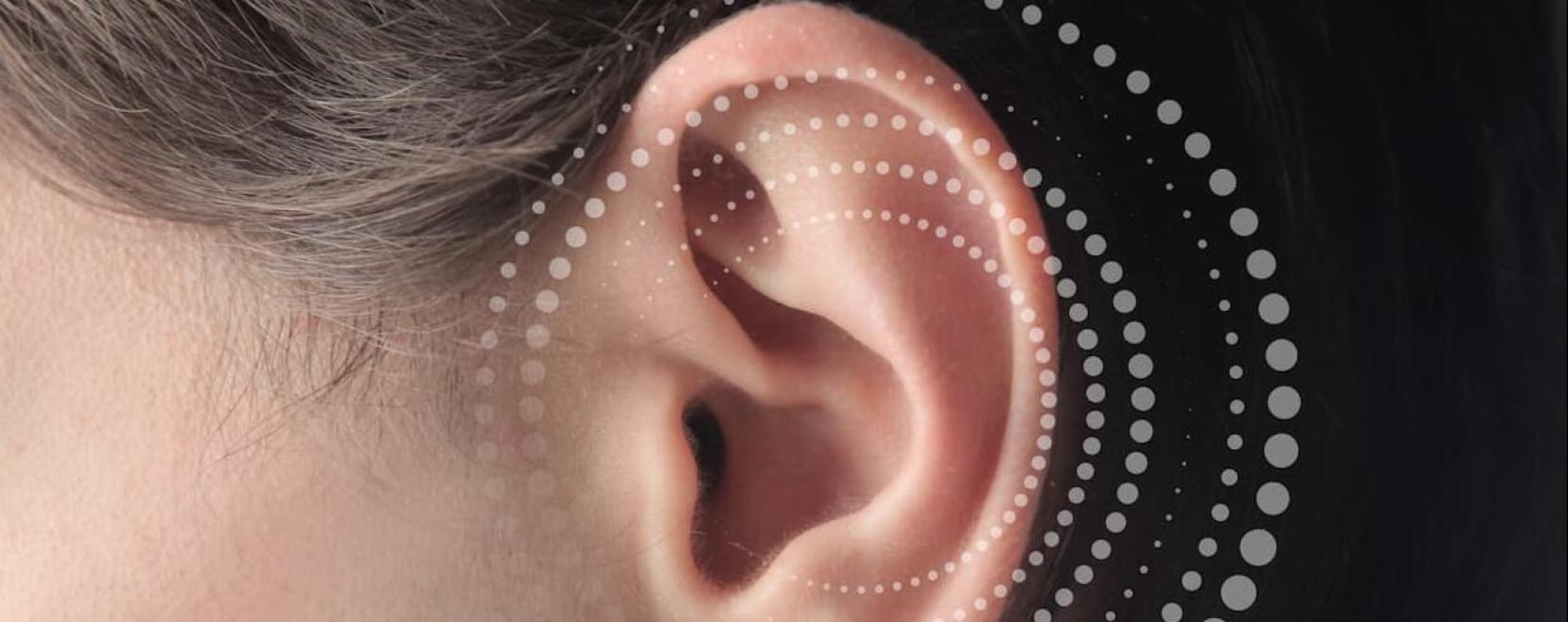 F&uuml;lakupunkt&uacute;ra: a test &eacute;s a l&eacute;lek harm&oacute;ni&aacute;ja