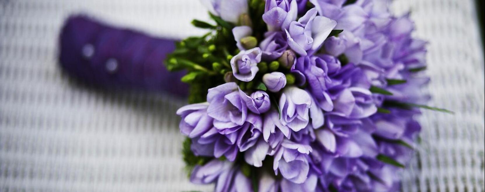 Legy&eacute;l a vir&aacute;gk&ouml;t&eacute;szet mestere