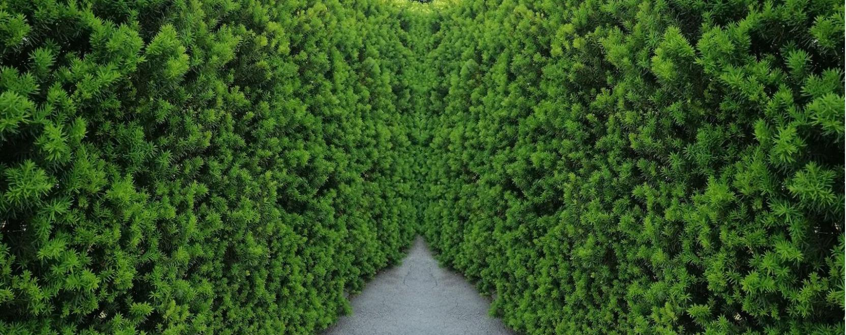 Milyen &ouml;r&ouml;kz&ouml;ld s&ouml;v&eacute;ny a legjobb v&aacute;laszt&aacute;s?