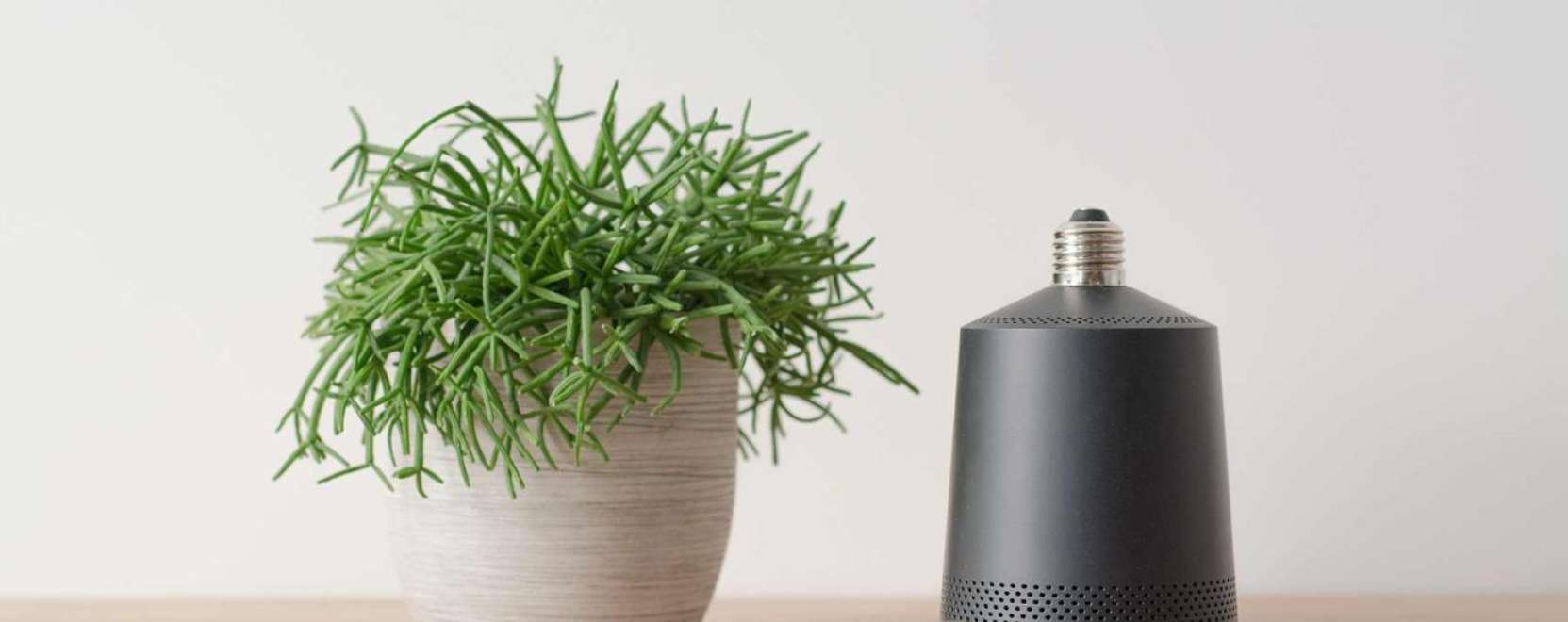 Okosprojektorral turb&oacute;zhatja fel a lak&aacute;s&aacute;t